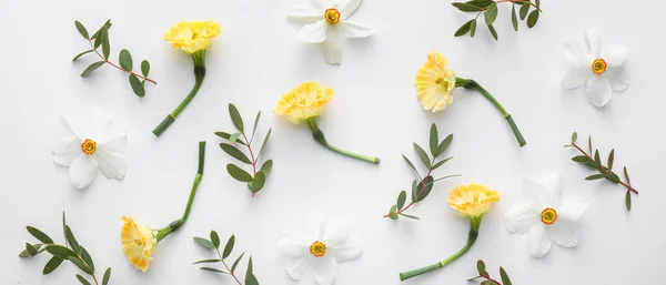 Piękna Kompozycja Świeżymi Kwiatami Białym Tle — Zdjęcie stockowe