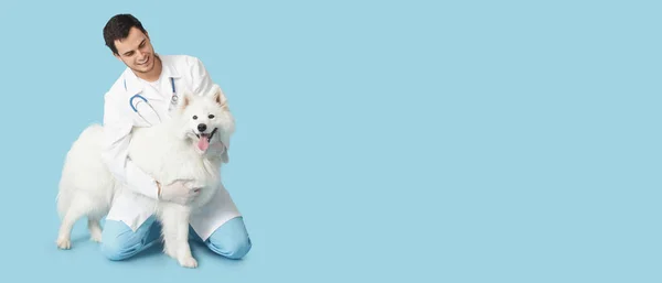 獣医とともに可愛いですSamoyed犬上のライトブルー背景にテキストのためのスペース — ストック写真