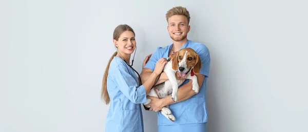 Veterinários Com Cão Bonito Fundo Claro — Fotografia de Stock
