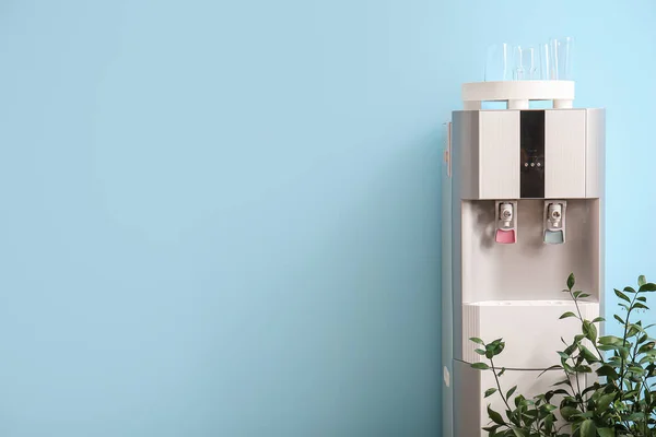 Modern water cooler and houseplant on blue background