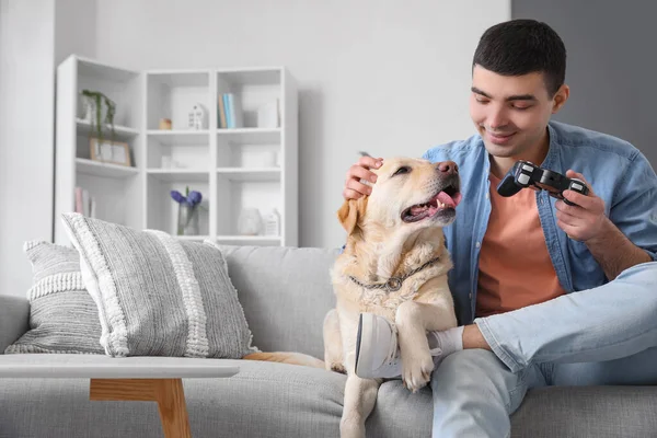 Young Man Cute Labrador Dog Playing Video Game Home — Stock Photo, Image