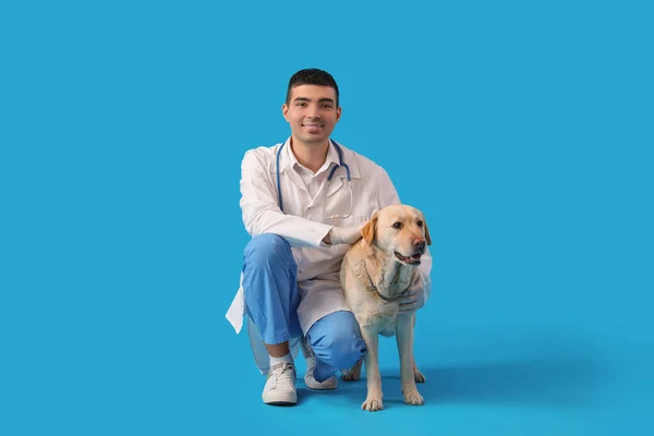 Veterinario Masculino Con Lindo Perro Labrador Sobre Fondo Azul — Foto de Stock