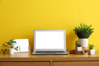 Sarı duvarın yanında suni tesisleri ve dizüstü bilgisayarı olan bir işyeri.