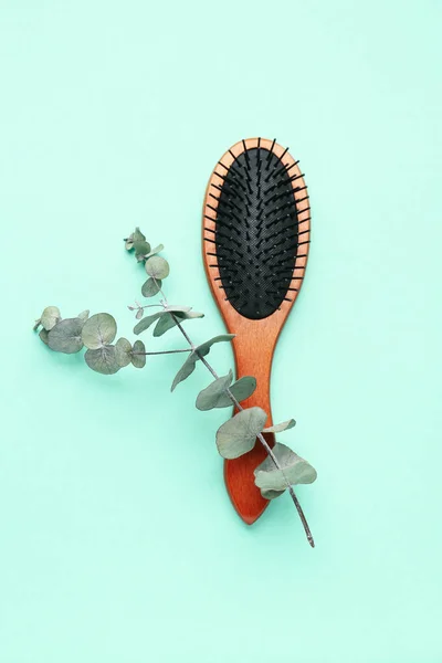 Brosse Cheveux Avec Branche Eucalyptus Sur Fond Menthe — Photo