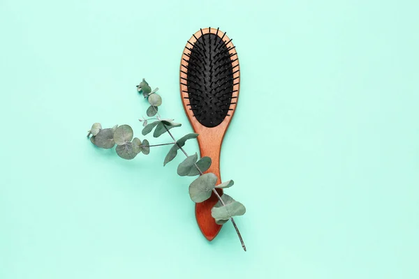 Brosse Cheveux Avec Branche Eucalyptus Sur Fond Menthe — Photo