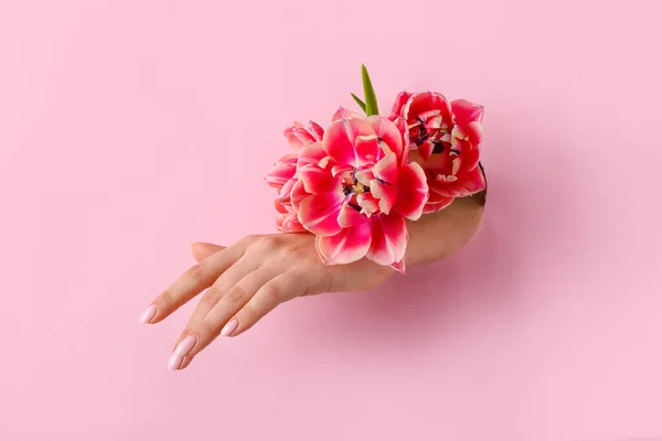 Female Hand Tulips Visible Hole Pink Paper — Stock Photo, Image