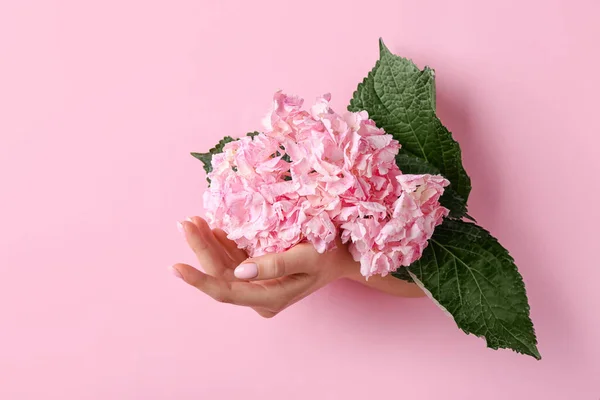 Female Hand Flower Visible Hole Pink Paper — Stock Photo, Image