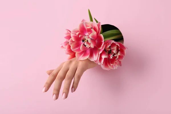 Female Hand Tulips Visible Hole Pink Paper — Stock Photo, Image