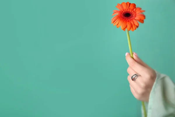 Egy Gyönyörű Virággal Zöld Háttérrel Kézápolás Fogalma — Stock Fotó