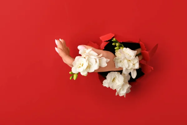 stock image Female hand with white flowers visible through hole in red paper