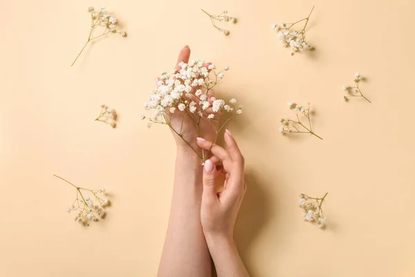Woman Gypsophila Flowers Beige Background Hand Care Concept — Stock Photo, Image