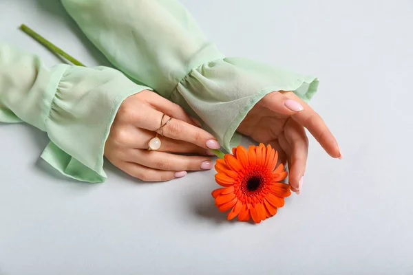 Γυναίκα Λουλούδι Στο Φως Φόντο Έννοια Φροντίδας Χεριών — Φωτογραφία Αρχείου