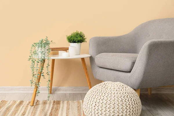 Interior Living Room Armchair Artificial Plants Table — Stock Photo, Image