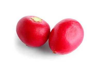 Beyaz arkaplanda taze turp izole edildi