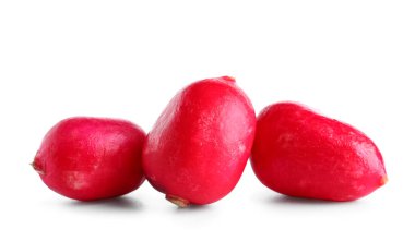 Beyaz arkaplanda taze turp izole edildi