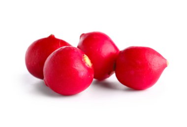 Beyaz arkaplanda taze turp izole edildi