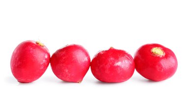 Beyaz arkaplanda taze turp izole edildi