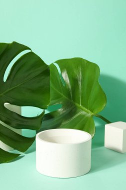 Alçı podyumlar ve canavar yaprakları turkuaz arka planda