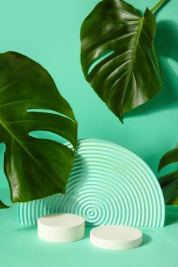 Alçı podyumlar ve canavar yaprakları turkuaz arka planda