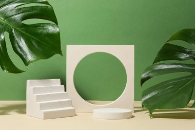 Plaster podyumlar ve canavar yaprakları yeşil arka planda bej masa üzerinde