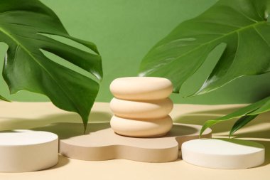 Plaster podyumlar ve canavar yaprakları yeşil arka planda bej masa üzerinde