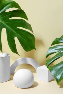 Bej arka planda alçı podyumlar ve canavar yaprakları