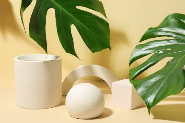 Bej arka planda alçı podyumlar ve canavar yaprakları