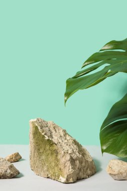 Taşlar ve canavar yaprakları beyaz masada turkuaz arka planda.