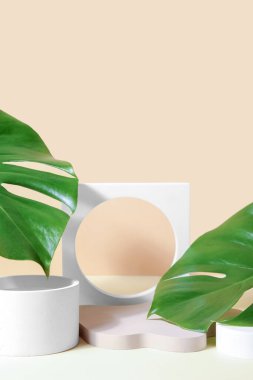 Bej arka planda alçı podyumlar ve canavar yaprakları