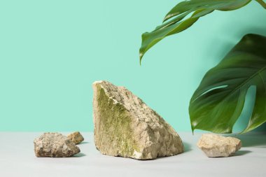 Taşlar ve canavar yaprakları beyaz masada turkuaz arka planda.