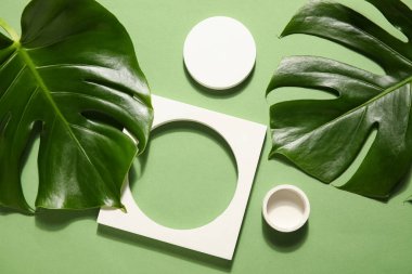 Alçı podyumlar ve canavar yaprakları yeşil arka planda