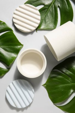 Beyaz arka planda alçı podyumlar ve canavar yaprakları