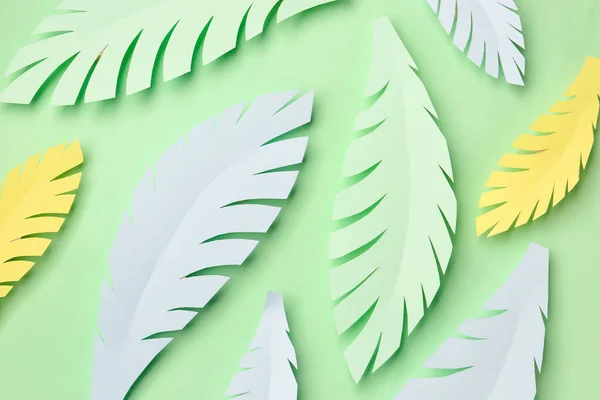 Паперове Тропічне Листя Зеленому Тлі — стокове фото
