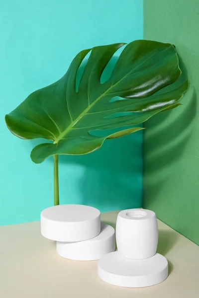 Plaster Podiums Monstera Leaves Green Background — Stock Photo, Image