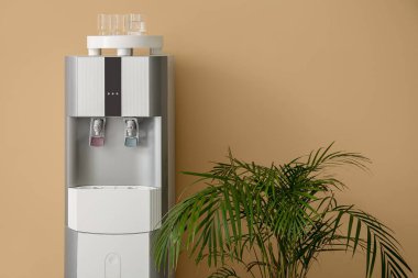 Modern su soğutucusu ve bej arka planda ev bitkisi.