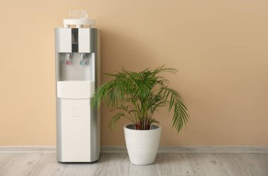 Modern su soğutucusu ve bej duvarın yanındaki bitki örtüsü.