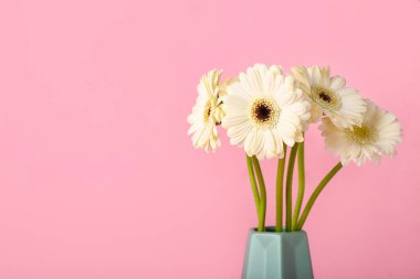 Pembe arka planda güzel Gerbera çiçekleri olan vazo.