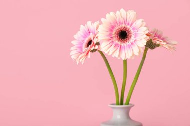 Pembe arka planda Gerbera çiçekleri olan vazo, yakın plan.