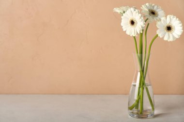 Bej duvarın yanındaki masada Gerbera çiçekleri olan vazo.