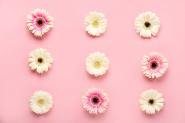 Pembe arka planda güzel gerbera çiçekleri