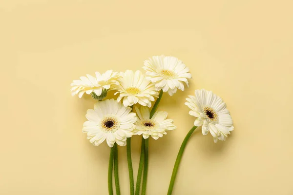 Beautiful Gerbera Flowers Yellow Background — Stock Photo, Image
