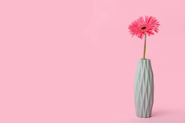 Vaso Con Bel Fiore Gerbera Sfondo Rosa — Foto Stock