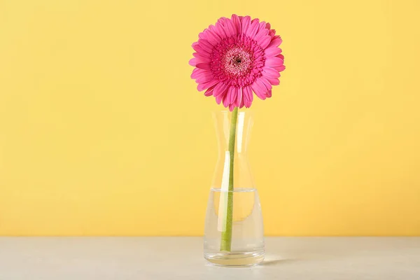stock image Vase with gerbera flower on table near yellow wall