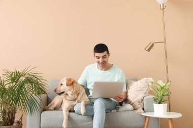 Laptoplu genç adam ve Labrador köpeği evdeki kanepede oturuyor.