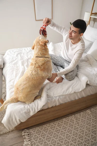 Jovem Brincando Com Bonito Cão Labrador Brinquedo Quarto — Fotografia de Stock