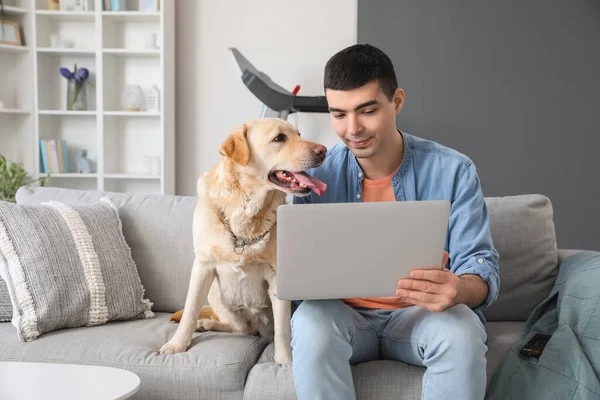 Hombre Joven Con Lindo Perro Labrador Usando Portátil Sofá Casa —  Fotos de Stock
