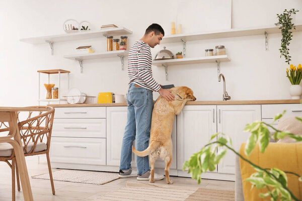 Young man feeding cute Labrador dog in kitchen