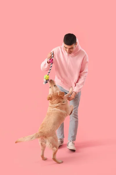Young Man Playing Cute Labrador Dog Pink Background — Stock Photo, Image