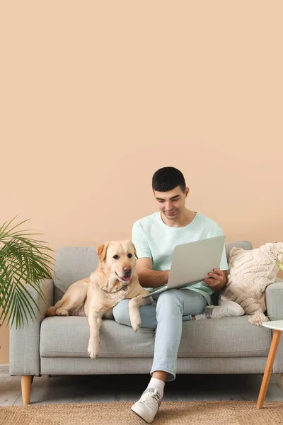 Joven Con Portátil Perro Labrador Sentado Sofá Casa —  Fotos de Stock
