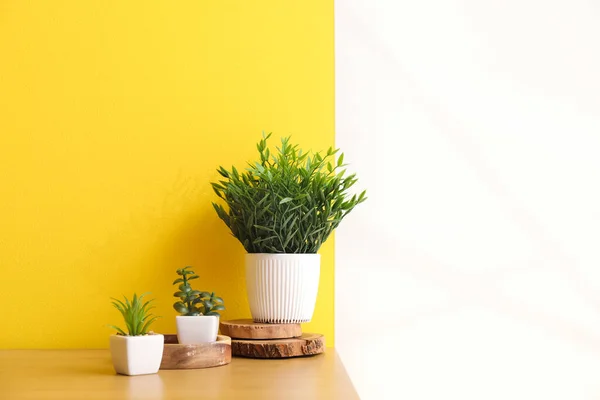 Τεχνητά Φυτά Στο Τραπέζι Κοντά Στον Τοίχο Χρώμα — Φωτογραφία Αρχείου